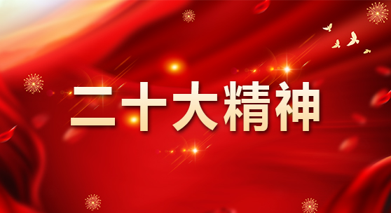 二十大精神
